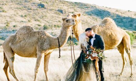 Διακόσμηση γαμήλιας δεξίωσης με έμπνευση από την έρημο